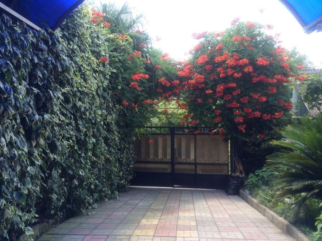Гостевой Дом У Левы Hotel Gagra Exterior foto