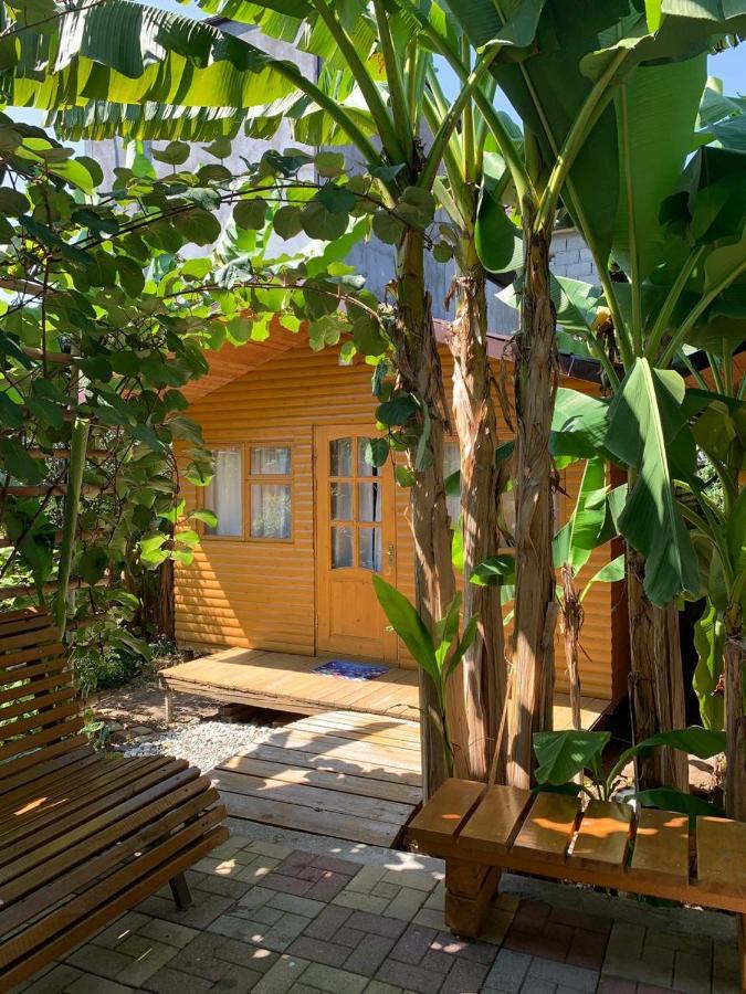 Гостевой Дом У Левы Hotel Gagra Exterior foto